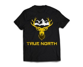 TRUE NORTH entry by Freny Warren L. Maturan