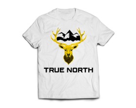TRUE NORTH entry by Freny Warren L. Maturan