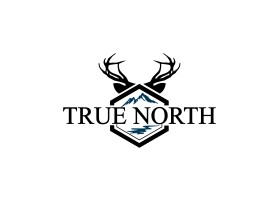 TRUE NORTH entry by idnas