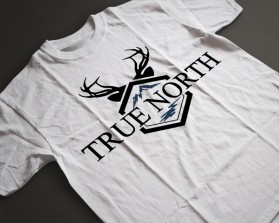TRUE NORTH entry by idnas