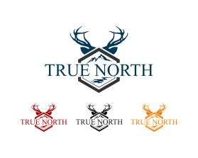 TRUE NORTH entry by idnas