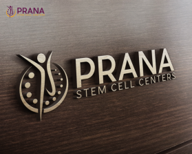 PRANA entry by einaraees