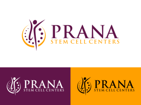 PRANA entry by einaraees