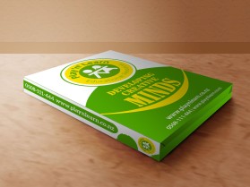 Graphic Design entry 1511672 submitted by beekitty7 to the Graphic Design for Play'n'Learn run by juliettehart