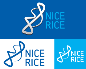 Nice Rice entry by DORIANA999