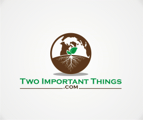 twoimportantthings.com entry by wongsanus