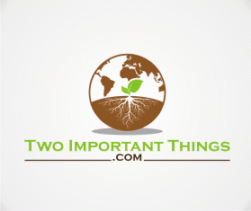 twoimportantthings.com entry by wongsanus