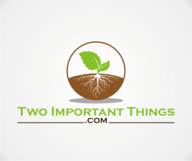 twoimportantthings.com entry by wongsanus