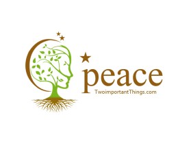twoimportantthings.com entry by DzinerIdea
