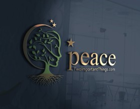 twoimportantthings.com entry by DzinerIdea