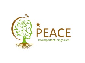 twoimportantthings.com entry by DzinerIdea