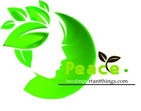 twoimportantthings.com entry by Tmalith