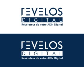 http://www.revelos-digital.com/ entry by nsdhyd