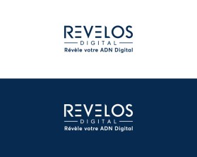 http://www.revelos-digital.com/ entry by nsdhyd