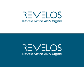 http://www.revelos-digital.com/ entry by El Tasador