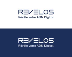 http://www.revelos-digital.com/ entry by nsdhyd