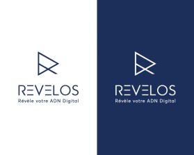 http://www.revelos-digital.com/ entry by nsdhyd