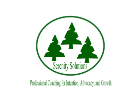 Serenity Solutions entry by borjoeis
