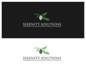 Winning entry: Serenity Solutions entry by medurajess0810
