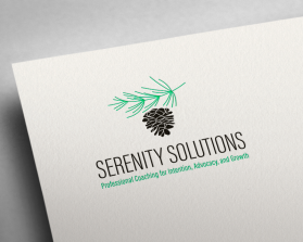 Serenity Solutions entry by Suleymanov