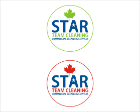 Star Team Cleaning entry by Wayne Allen Carbonell