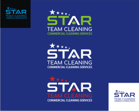 Star Team Cleaning entry by Wayne Allen Carbonell