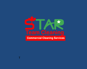Star Team Cleaning entry by Yasmeen Saber