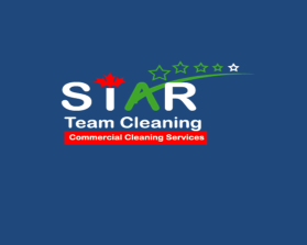 Star Team Cleaning entry by Yasmeen Saber