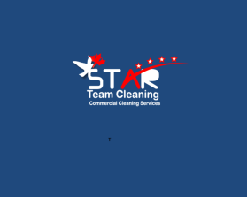 Star Team Cleaning entry by Yasmeen Saber