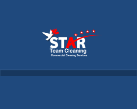 Star Team Cleaning entry by Yasmeen Saber