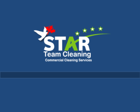 Star Team Cleaning entry by Yasmeen Saber