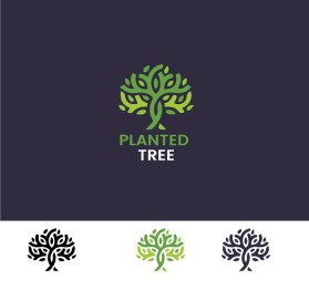 Planted Tree entry by saima4583