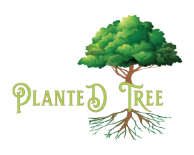 Planted Tree entry by The One