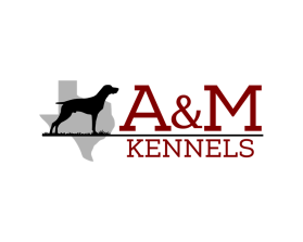 A&amp;M Shorthairs or A&amp;M Kennels entry by David Field