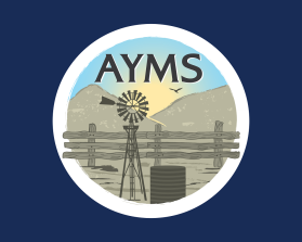 AYMS entry by Doriana Petrova Ivanova
