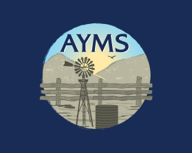 AYMS entry by Doriana Petrova Ivanova