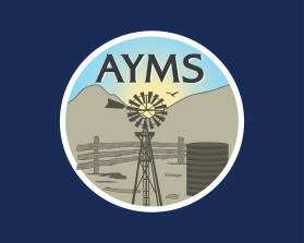 AYMS entry by Doriana Petrova Ivanova