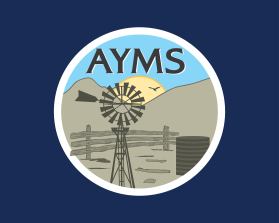 Winning entry: AYMS entry by Doriana Petrova Ivanova