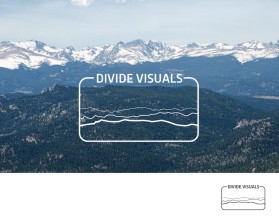 Divide Visuals entry by mv