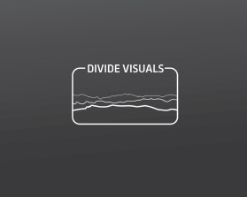 Divide Visuals entry by mv