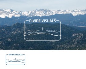 Divide Visuals entry by mv