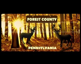 Forest County, PA entry by logohub