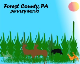 Forest County, PA entry by supritybhattacharya