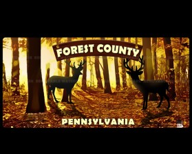 Graphic Design entry 1535311 submitted by CUPU to the Graphic Design for Forest County, PA run by RonH