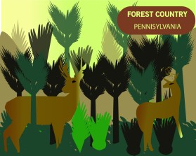 Forest County, PA entry by supritybhattacharya