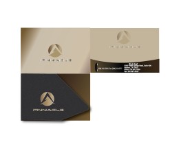 LOGO IS PROVIDED TO YOU IN THE DESIGN BRIEF entry by supritybhattacharya