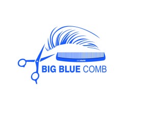 Big Blue Comb entry by Niels