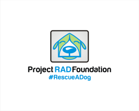 Project RAD Foundation entry by dogeco