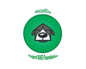 Project RAD Foundation entry by Dollly