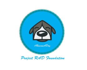 Project RAD Foundation entry by Dollly